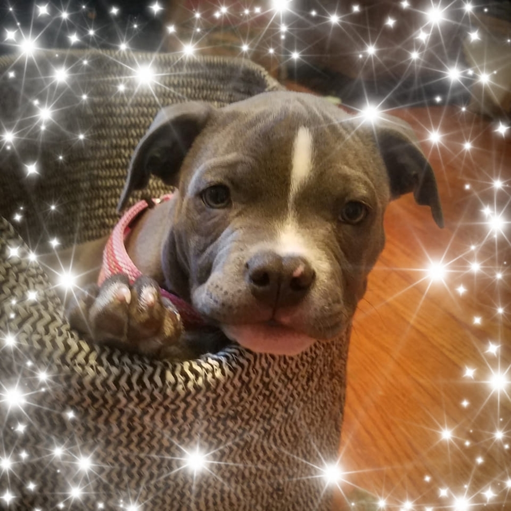 Meet your Posher, Laura